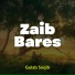 Gulab Saqib