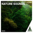 Elias Earth, Arnold Aqua, Ambia Music