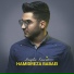 Hamidreza Babaei