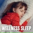 The Sleepy Sounds