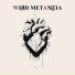 Wild Metanoia