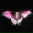 BLURRYFXCE