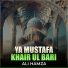 Ali Hamza