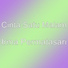 Cinta Satu Malam