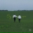 Лучиа