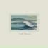 The Fur Seals