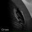 Orbes