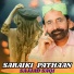 Sajjad Saqi