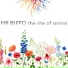 Mr Biffo