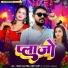 Vikash Ranjan Singh, Shrishti Bharti