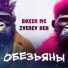 Boxer MC, Zverev Den
