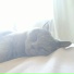 Cat lover