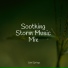 Nature's Symphony, Study Zone, Avslappning Sound