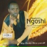 Neverson Ngoshi feat. The I Am Gospel Sounds