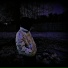 GXDARKX