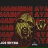 Joe Shyna