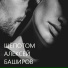 Алексей Баширов