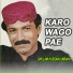 Ghulam Hussain Umrani