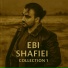 Ebi Shafiei