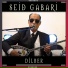 Seid Gabari