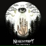 Negentropy