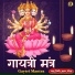 Pandit Vineet Kumar Gautam