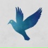 Lofi Bird, Kids Play Lofi, The Bonsai