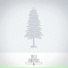 Eness Gray