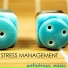 No Stress Ensemble
