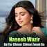 Naseeb Wazir