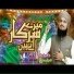 Hamza Raza Qadri