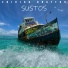 Edicion Quattro