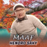 Hendro Saky