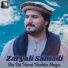 Zaryali Samadi