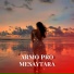 Armo Pro