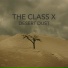 The Class X