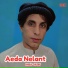 Nasir Dilsaf