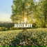 Luminex, Will Knight