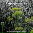 Regen Sounds, Regengeräusche