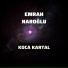 Emrah Naroğlu