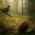 Sommnia, Forest Sounds