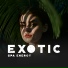 Exotic Nature Kingdom, Spa Music Zone