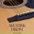 Akustisk Gitarjazz