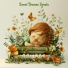 Sweet Dreams Sonata