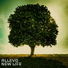 Allevo