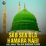 Allama Talha Badar Saifi