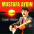 Mustafa Aydın