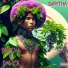 Dartha, Apollo 808 feat. Avicena
