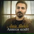 Amin Habibi