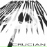 Crucian